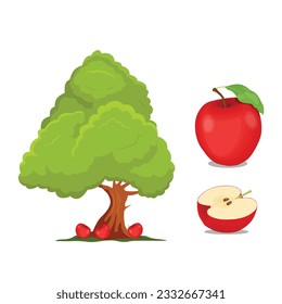 Vector illustration of red or green apple in flat design isolated on white background, farming concept, tree with fruits and big apples near it, harvest or education infographic elements for kids.