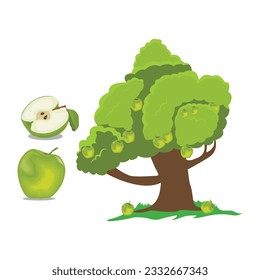 Vector illustration of red or green apple in flat design isolated on white background, farming concept, tree with fruits and big apples near it, harvest or education infographic elements for kids.
