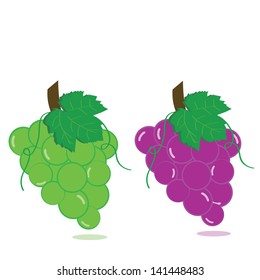 Vector illustration  of red and green grapes