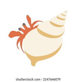 Vector illustration of red hermit crab isolated on background.