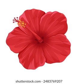 Vector illustration of a red hibiscus flower