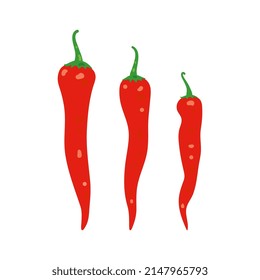 Vector illustration of red hot chili pepper.