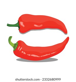 Vector illustration of red hot chili pepper realistic in flat cartoon stle. Red hot chili pepper lay on white background with shadow for labels and logo design. Single or group chili pepper.