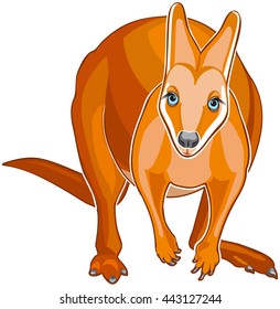 vector illustration red kangaroo isolated