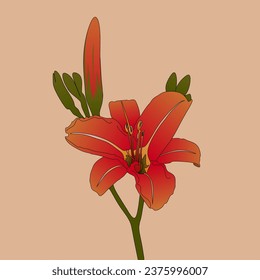 ilustración vectorial de lirios rojos en un fondo de crema