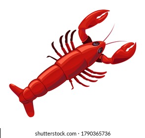 Vector illustration of red Lobster.