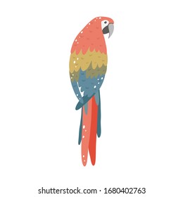 Vector illustration with red macaw.