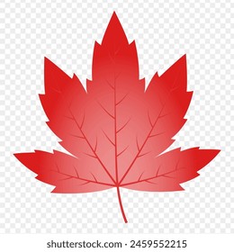 Vector illustration of red maple leaf on transparent background