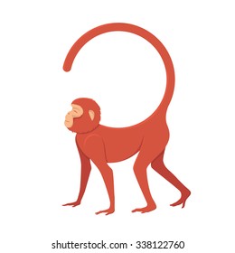 Vector illustration of a red monkey. Monkey in a circle with a long tail in 2016.