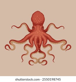 Vector illustration of red octopus