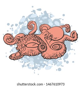 Vector illustration of red octopus in sketch style - hand drawn marine mollusc with eight arms and tentacles isolated on white background for seafood market or restaurant design.