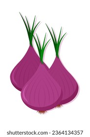 Vector illustration of red onion fresh vegetable. Delicious healthy food