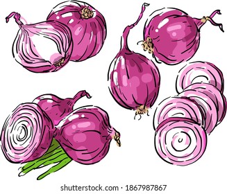Ilustración vectorial con cebolla roja, trozo de cebolla