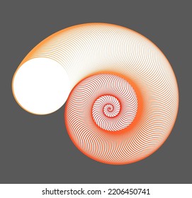 Vector illustration of red and orange snail shell with a dark grey background. Optical illusion spiral.