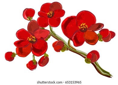 Vector illustration of red orchid brunch