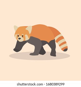 Vector illustration of red panda cartoon style on pastel background.