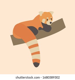 Vector illustration of red panda cartoon style on pastel background.