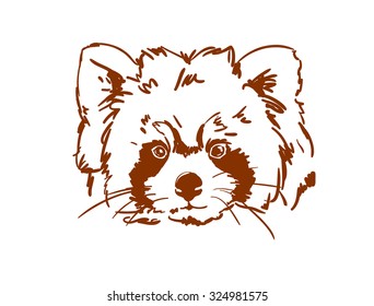 Vector illustration red panda sketch