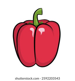 vector illustration of red paprika vegetable