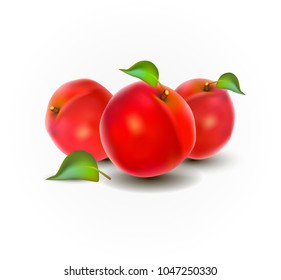 Vector illustration of red peaches on a white background