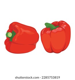 Vector illustration of red pepper, set of fresh whole and sliced red sweet pepper isolated on white background. Ripe