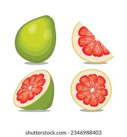 Vector illustration red pomelo sliced in cartoon flat style. Grapefruit orange tropical fruit isolated on white background, fresh food nature for diet, agricultural tropical product, gardening farm