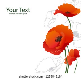Vector illustration of red poppies on a white background. Design is well suited for postcards.