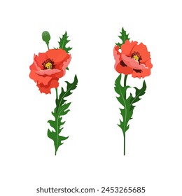 Vector illustration of red poppies on white isolated background. Template for the decor of the album, poster, logo, web design.