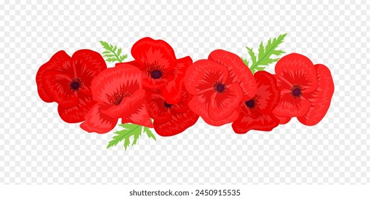 Vector illustration of Red Poppy flowers with leaves on transparent background