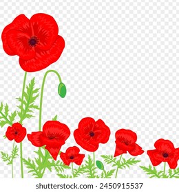 Vector illustration of Red Poppy flowers with leaves on transparent background