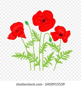 Vector illustration of Red Poppy flowers with leaves on transparent background