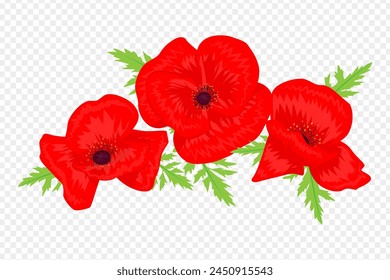 Vector illustration of Red Poppy flowers with leaves on transparent background