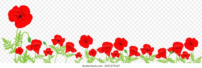 Ilustración vectorial de flores de amapola roja con hojas sobre fondo transparente