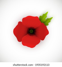 Ilustración vectorial de la amapola roja con hojas verdes. Aislado en fondo blanco. Flor brillante. Símbolo del Día de la Celebración.