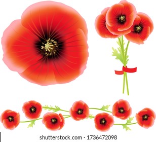 Vector illustration of red poppy, group, poppies bouquet, frame of poppies. Memorial Day.