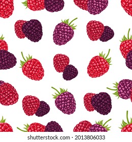 Vector illustration of red and purple raspberry seamless pattern. Fruits pattern on the white background. Seamless pattern for print.