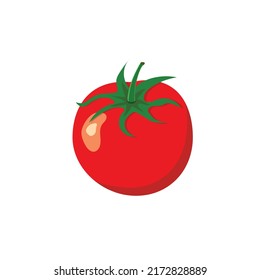 Vector illustration of red ripe tomato. Healthy plant base diet vegetables Italian cuisine concept