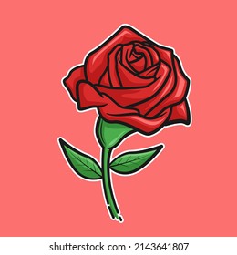 vector illustration, red rose flower