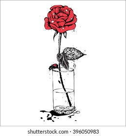 Vector illustration of a red rose in a glass. Graphic drawing ink.