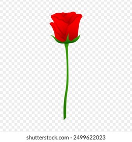 Vector illustration of red rose on transparent background