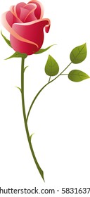 vector illustration red rose on a white background..