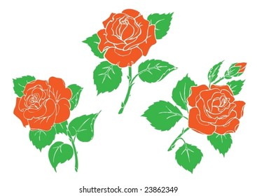 Vector illustration. Red roses.