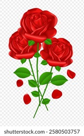 Vector illustration of red roses with green leaves and falling petals on transparent background