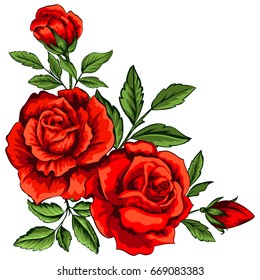 Vector illustration of red roses isolated on white