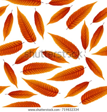 Similar – Yellow autumn leaves pattern on white