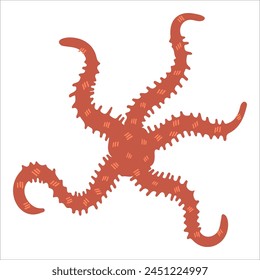 Vector illustration of a red starfish in a bright cartoon style. An image of a realistic starfish texture, ideal for use in nautical themed projects.