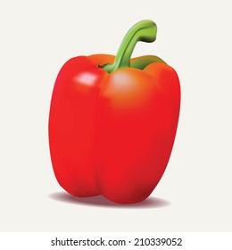 Vector illustration of red sweet pepper