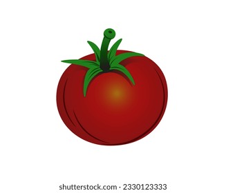 Vector illustration of a red tomato with green foliage on a white background