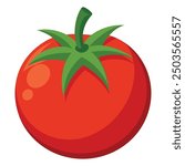 Vector illustration of a red tomato isolated on white , Tomato vector. Tomato on white background. Tomato vector in cartoon style