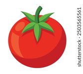 Vector illustration of a red tomato isolated on white , Tomato vector. Tomato on white background. Tomato vector in cartoon style